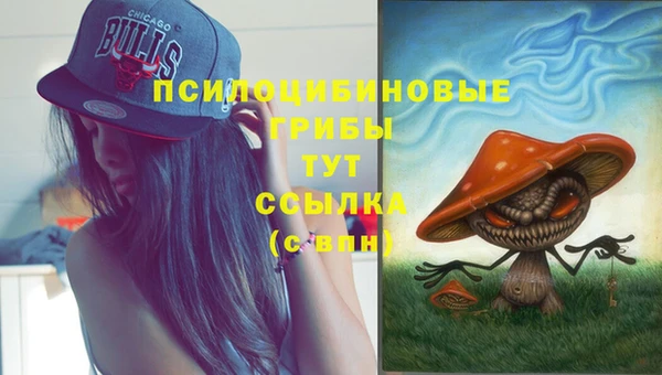 spice Алексеевка